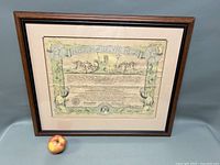 Full view of framed certificate with decorative border and underwater motifs