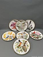 Photo showing the front view of all six Arthur Singer signed plates arranged in two rows, with colorful bird and botanical illustrations visible.
