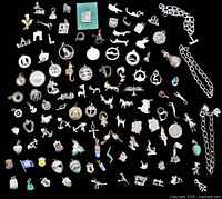 Three chain link charm bracelets and over one hundred loose charms spread on black background