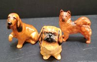 Three small Royal Doulton dog figurines displayed together on a black background showing front and side views.