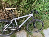 Full view left side of Rocky Mountain Vapor bike leaning against shrubs