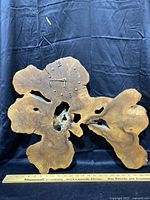 Front view of handmade wall clock integrated into a natural live wood stump with visible hollow center and wood grain detail.