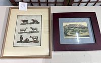 Photo showing both framed prints side by side on a table; the sheep print in a light frame and the Narragansett Pier Casino print in a dark frame.