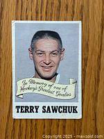 Front of the hockey card showing a color portrait of Terry Sawchuk with a banner stating 'In Memory of one of Hockey's Greatest Goalies'. Card number 231.