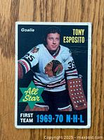 Front of hockey card showing Tony Esposito in goalie gear with All Star First Team 1969-70 NHL text.