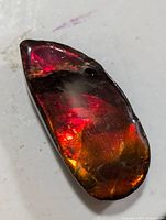 Close-up photo of a polished ammolite gemstone showcasing its iridescent red and orange colors and rough base edges.