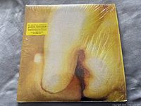 Front cover of Pisces Iscariot vinyl album by The Smashing Pumpkins in shrinkwrap with original sticker.
