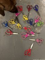 Photo showing 17 kids scissors in various colors on floor including red, yellow, blue, pink, green, purple, and maroon handles. One dog nose visible in frame.