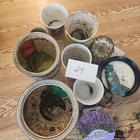 Top-down photo showing several ceramic pots with soil inside and other small garden items arranged together