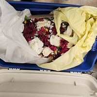 Blue plastic bin with artificial floral arrangement mainly white roses and burgundy flowers wrapped in white and yellow tissue paper