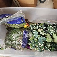 Opened bin showing multiple bags of preserved moss and assorted artificial green leaf stems