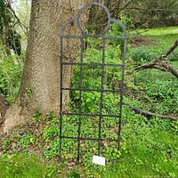 Full view of black wrought iron trellis standing against tree outdoors, showing grid pattern and round arch top.