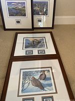 Four wooden framed wildlife art prints with mounted stamps, arranged on a carpeted floor.