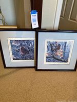 Photo of two framed bird prints leaning against wall on carpet floor