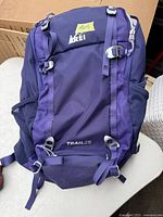 Front view of purple REI Trail 25 backpack showing the brand logo, model name, multiple buckles and compartments.