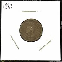 Obverse side of the 1883 US Indian Head 1 Cent coin showing the Liberty head with Native American headdress.