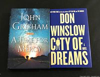 Front covers of the two hardcover novels shown together.