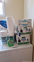 Overall view of the lot showing Kirkland bath tissue, paper towels, garbage bags, latex gloves, and Clorox spray.