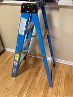 Full side and front view of blue Werner ladder showing metal steps, support bars, and black top.