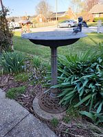 Full view of the metal bird bath placed outdoors near garden plants.