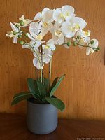 Full view of the artificial white orchid plant in a matte gray pot.