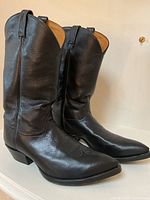 Front and side view of pair of boots showing pointed toes and heel