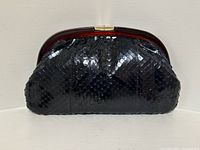 Front view of black snakeskin clutch purse with lucite frame
