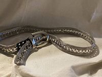 Silver metal chain and mesh belt laid out with a visible metal buckle and chain in the middle.