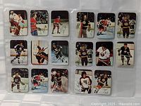 Overall view of all 18 cards in two nine-pocket pages