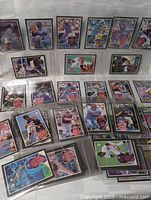 Multiple binder pages with black-border Donruss baseball cards displayed front and back