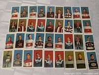 All 30 hockey cards laid out in 5 rows of 6
