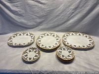 Full set of Aynsley Wilton dinnerware arranged showing all plate sizes and saucers.