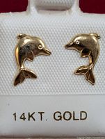 Front view of gold dolphin-shaped earrings on white display with 14KT GOLD label.