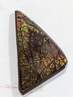 Front view of one triangular Ammolite piece showing iridescent mosaic pattern and polished surface.