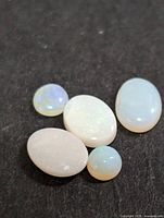 Five genuine opal cabochons of various shapes and sizes on dark surface, displaying milky white and subtle iridescence.