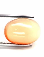 Close-up image of the oval shaped orange agate cabochon held by tweezers, showing smooth polished surface and color gradient.