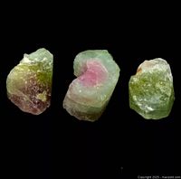 Three rough watermelon tourmaline stones displayed showing their natural rough surfaces and color zones