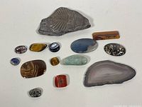 Lot contents showing the Ogyginus fossil and a collection of polished semi-precious stones in various colors and sizes.