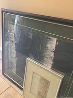 Framed large print showing a black wolf between birch trees, green matte and black frame.