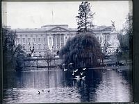 Close-up of the black and white photograph showing Buckingham Palace and the lake with waterfowl and trees in the foreground.