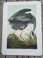 Full view of the Blue Heron print showing the bird in a natural setting with grass and light green background.