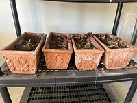 Front angle showing four rectangular clay planters on a shelf filled with soil and dried plant debris.