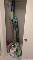 Closet with cleaning tools including mop, dust pans, buckets, and detergent container.