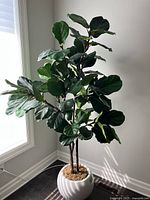 Full view of the large artificial Fiddle-leaf Fig tree placed by a window, showing lush green leaves and multiple brown stems in a decorative white pot.