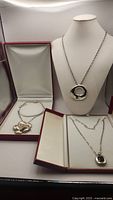 Three necklaces displayed in open boxes and on bust: round pendant, flower pendant, square black stone pendant