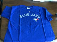 Front side of blue Toronto Blue Jays baseball T-shirt showing 'BLUE JAYS' text and team logo.