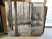 Three-panel black and white photograph of evenly spaced tall trees, panels arranged side by side on floor showing full triptych combined image.