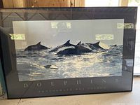 Framed photograph showing dolphins swimming in water with text 'DOLPHINS PHOTOGRAPH BOB TALBOT' beneath the image.