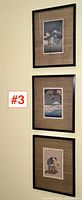 Three framed prints on wall showing entire lot