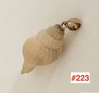 Front angle view of the small seashell pendant attached to a 10k gold bail.